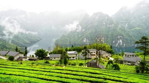 鹤峰金山村：隐藏在山水诗卷中的小山村