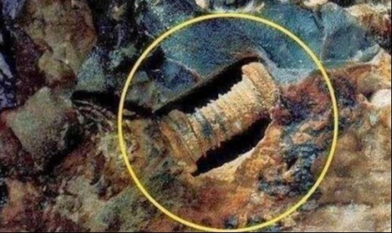 渔民|渔民捡到一块石头，竟镶嵌2.5亿年前“芯片”，史前高等文明真的存在？
