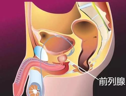 男性|6个习惯，最毁男性“生命腺”，坏了就无法修，尤其第2个