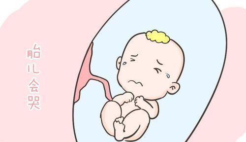 子宫|孕妈们有没有好奇过胎宝宝在肚子里都干什么?看完后,真的超忙!