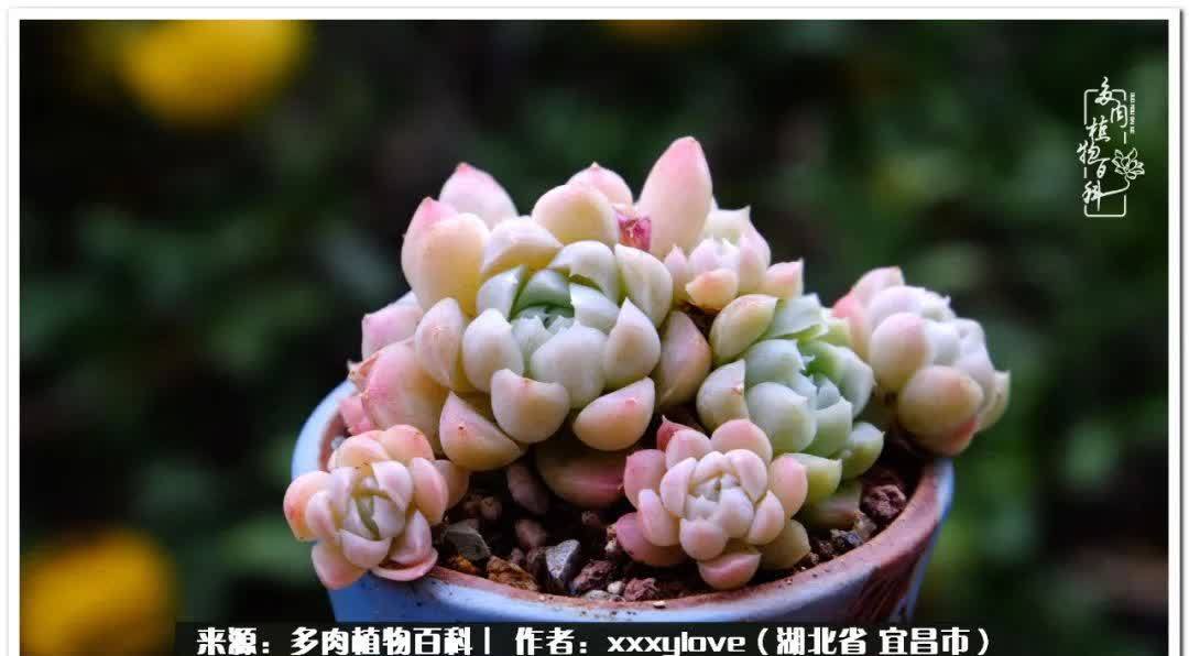 时光匆匆,一闪而逝,这世间万物的美,都值得被记录!