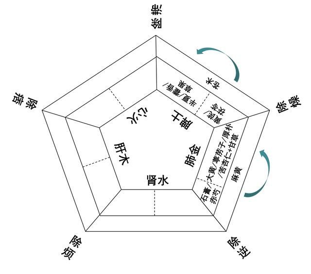 组方！深挖古籍经典，传承中医本原——中国中医科学院西苑医院药学团队开启“汤液经法图”研究与实践模式