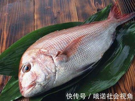 碳六烯酸|大脑最爱的食物,核桃只能排第4,第1名最常见却谁也想不到!