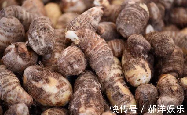 口香甜|想长寿全靠吃,平时吃的3种食物,补气养血,排毒养颜,肌肤好了