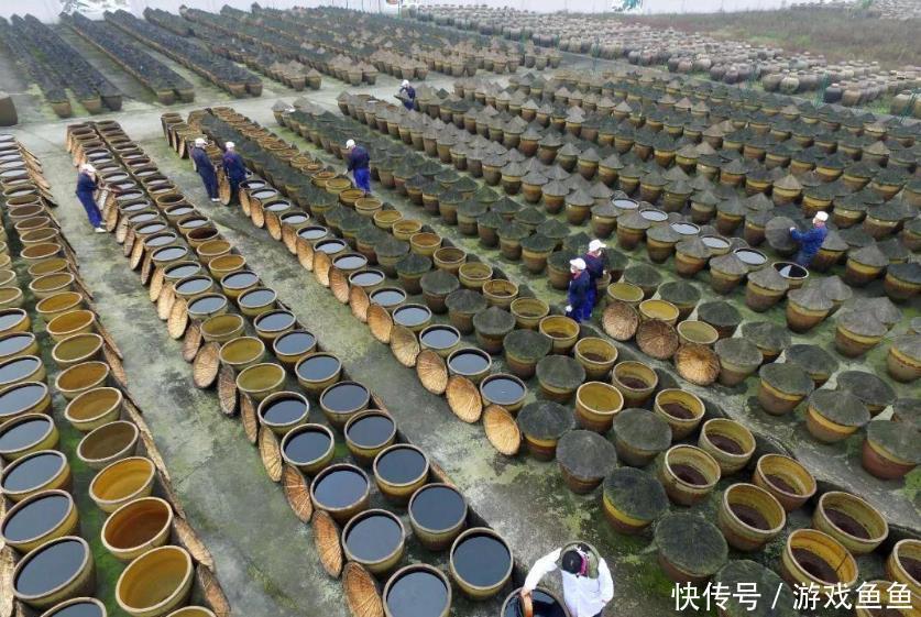 买醋别看价格，只要是此4个产地其一，大可放心买，都是好醋