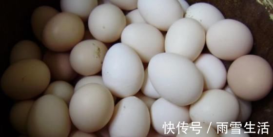 蛋白质|每天早上吃一个鸡蛋，3大“误区”别再犯了，可不要粗心大意！