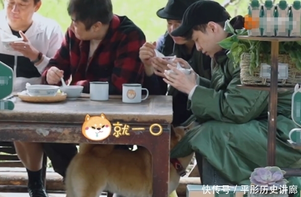 黄磊|张艺兴《向往5》从不喝特仑苏,不是不能是不敢,一口赔偿上百万