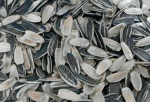 城市人养花,如何解决施肥难题3种方法,教你不花钱就养好花