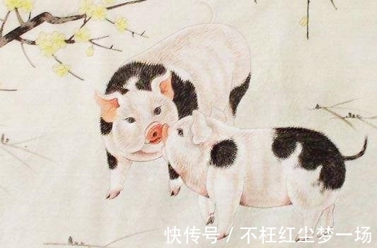 生肖狗|9月下旬，披荆斩棘，一往无前，3生肖追云逐日，财运高涨