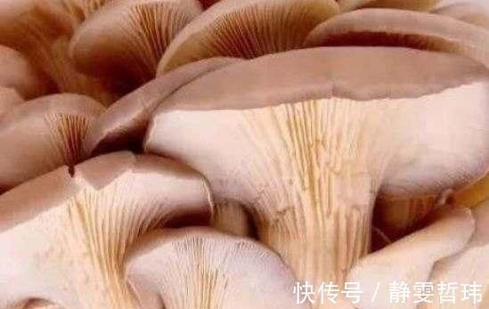 宁愿饿着,也千万别碰这4种“蔬菜”,寄生虫成“堆”,早知早受益