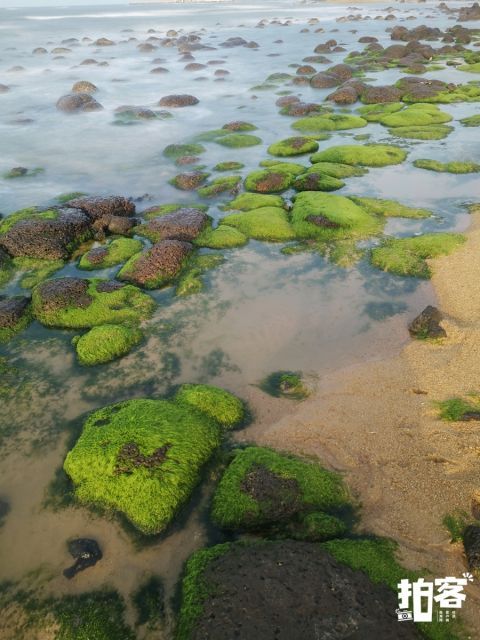 海口海湾有片“绿石滩”|拍客 |海口海湾有片“绿石滩”\＂,\＂i16\＂:\＂拍客