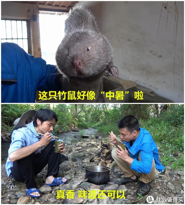 合集|16个领域的优质B站UP主大合集来袭，赶快收藏这些宝藏UP主吧！