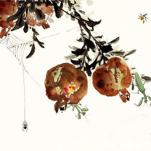 花鸟画|当代画家萧朗精品花鸟画作品欣赏