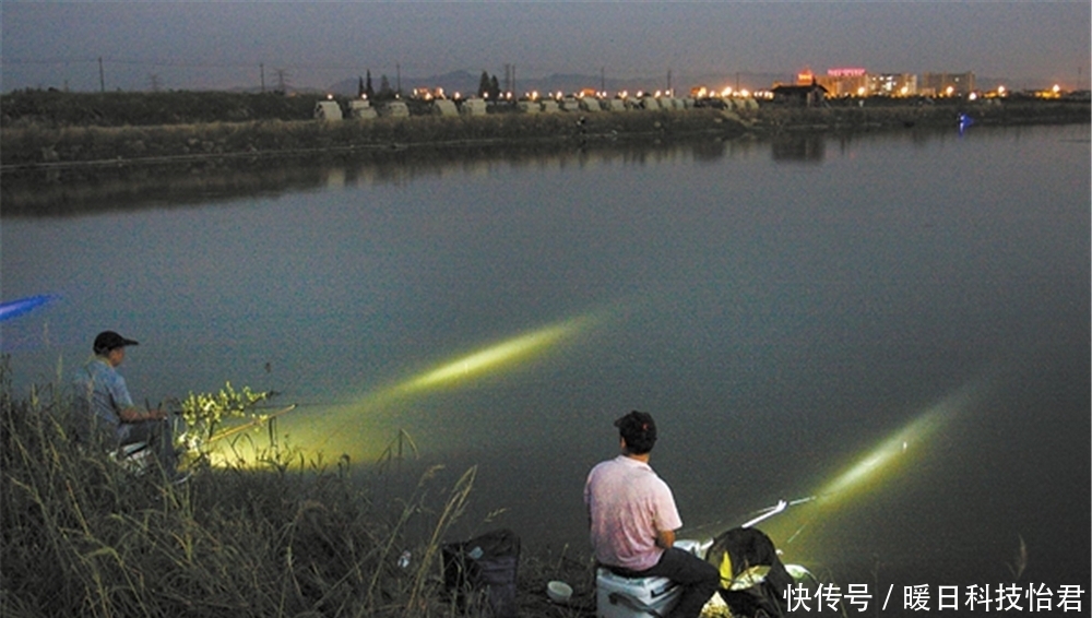 鱼竿|夏季夜钓安全第一，出门之前做好这5件事，准备充分轻松钓大鱼！