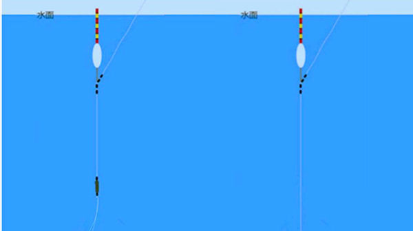  钓青鱼怎么调漂图解钓青鱼最佳调漂是几目