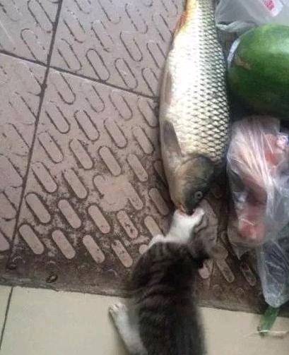 |搞笑图片幽默段子笑话妹子你是咋回事呢,看起来很难过的样子哦