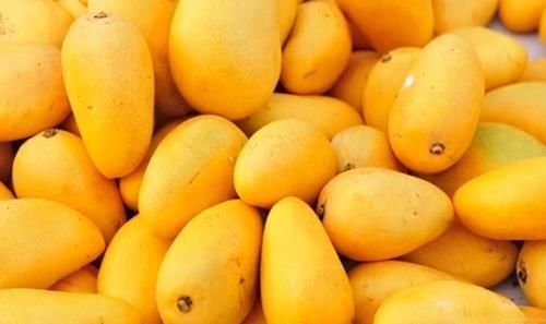 女性想变美，要多吃的食物，健胃健脾，排毒清肠，滋养肌肤