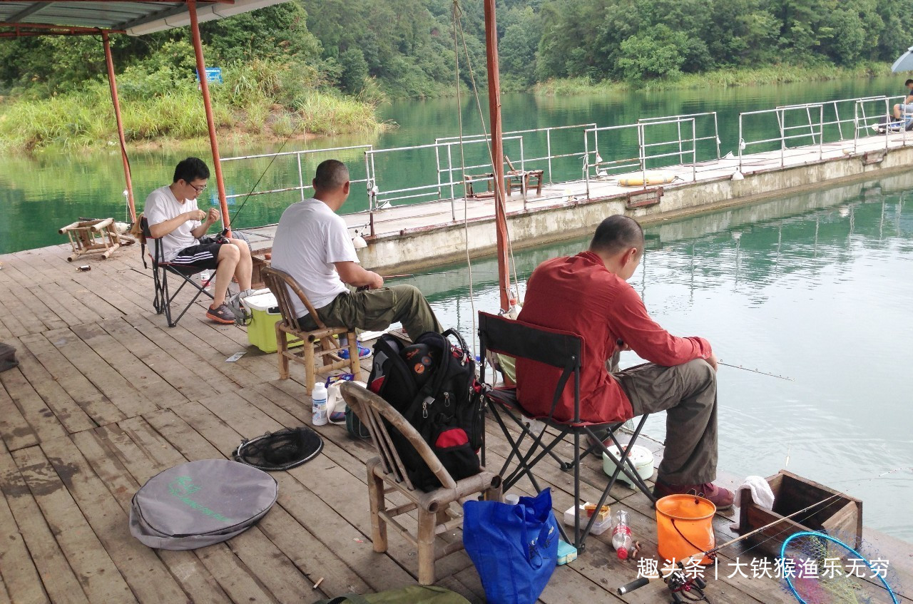 香虎|钓鱼人的“悲哀”也许这3种病就是我们的归宿,请不要再耍虎了!