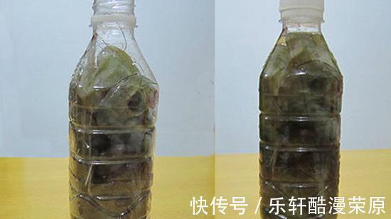正确做法|保存大虾不要直接冻冰箱，学会正确做法，放到过年吃依旧新鲜