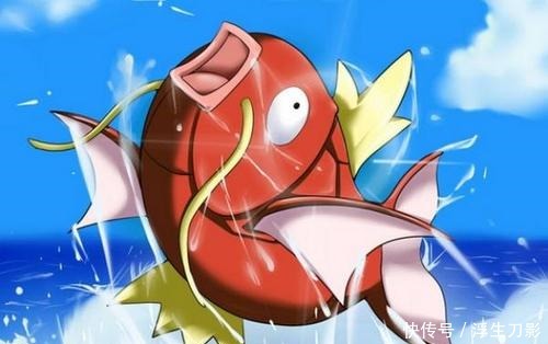 口袋妖怪xy暴蝾螈mega石