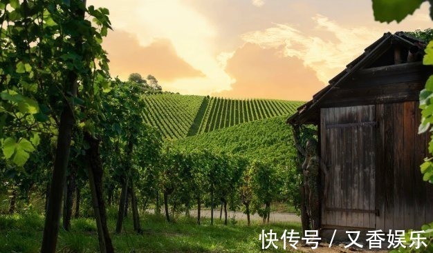 照片&德艺术家把不着片缕的美女隐藏在照片中,人体彩绘伪装下佳人何在