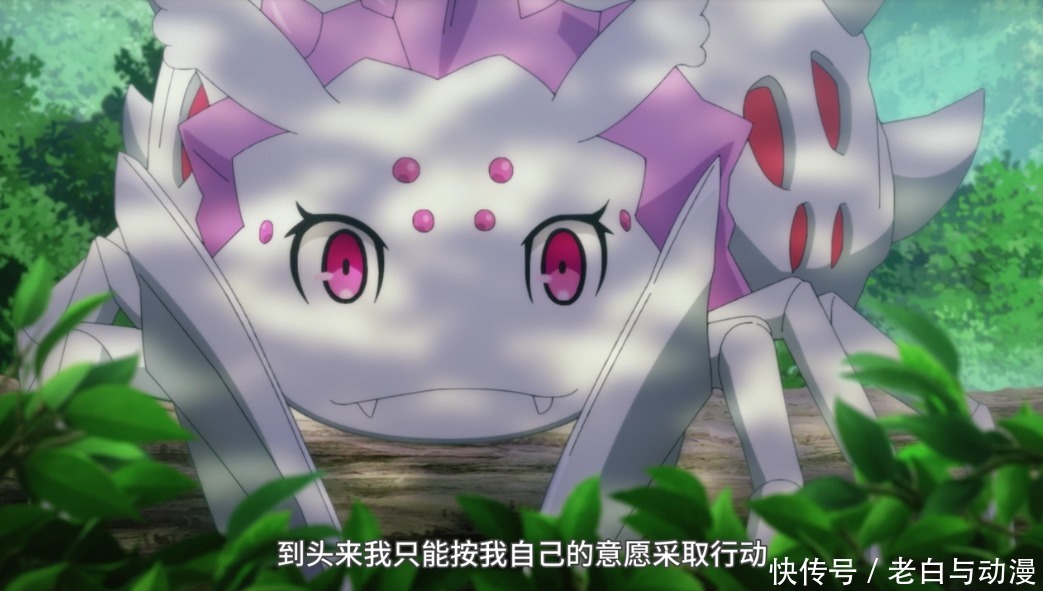 前生 星球前生揭晓，莎丽儿献祭，蜘蛛子扬言“不能坐以待毙”