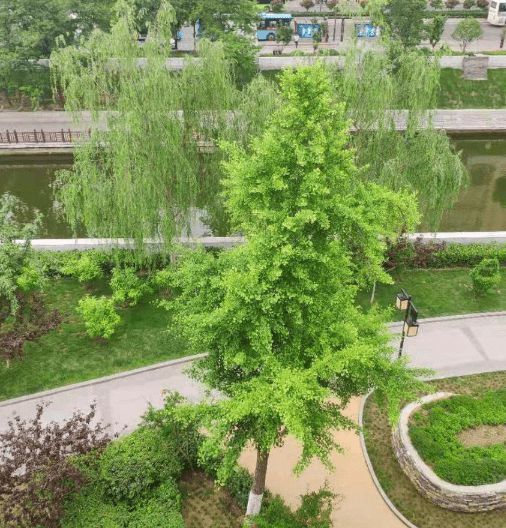 电视机|爸妈的养老房，装修花了9W！亲戚前来串门，都说钱花得超值