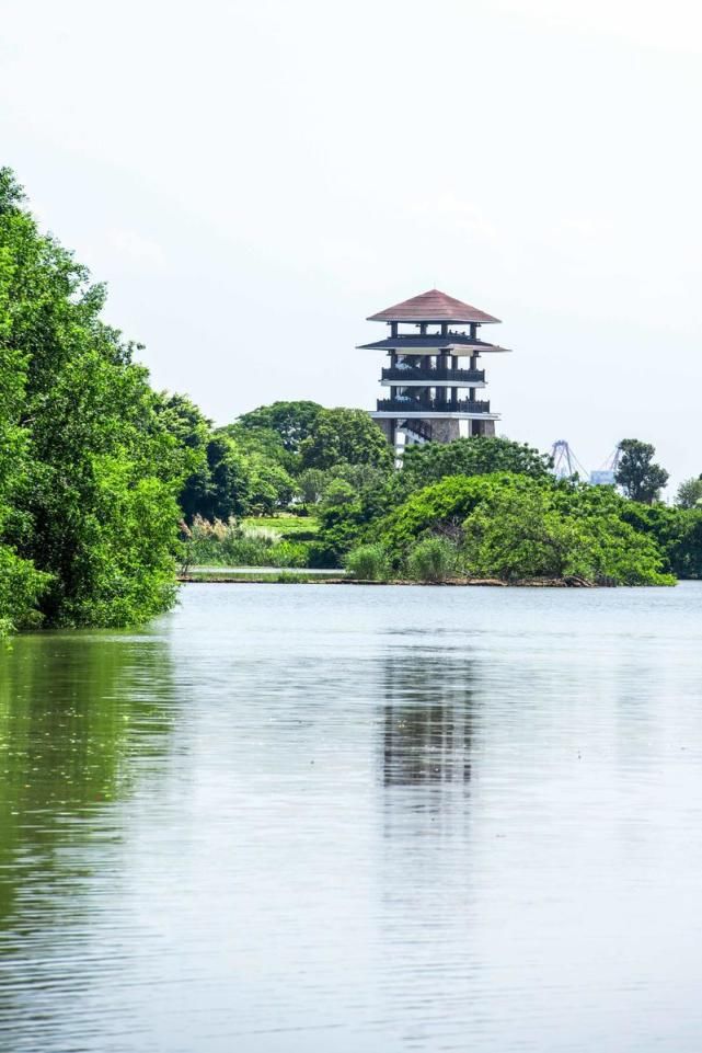 湿地在入海口是一种怎样的体验？一年四季都是美景，像是绿野仙踪