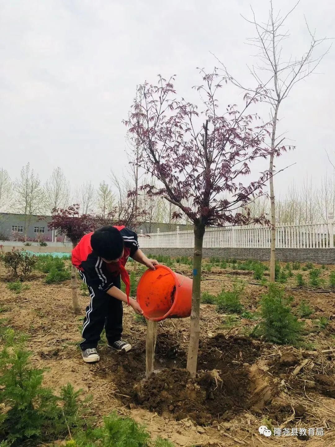 隆尧中小学生：“争做植绿护绿小使者，我们在行动”