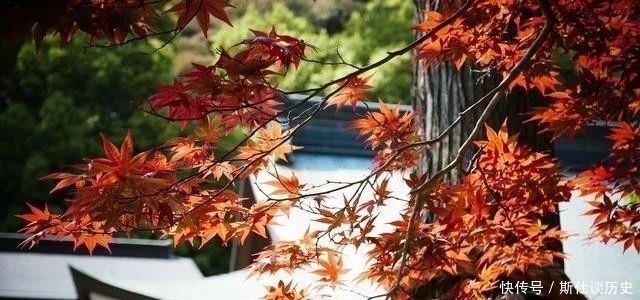 道德经|老子:成功和失败,只是差了一个“它”