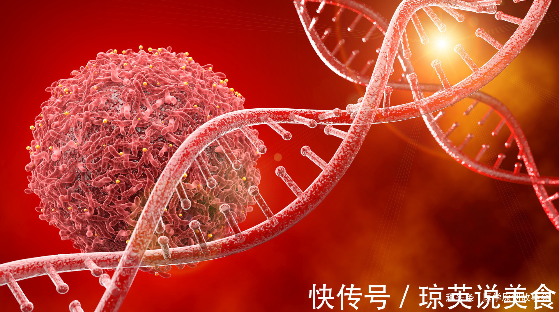 科主任|癌症治与不治都是死,不如花钱游山玩水肿瘤科主任说出了大实话