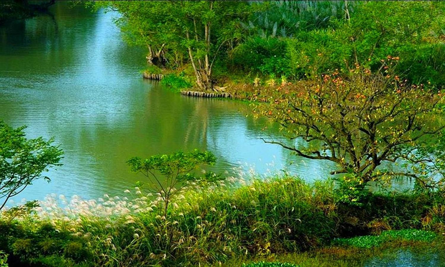湿地公园|杭州一座低调的5A景区——西溪湿地公园，它位于杭州哪个区呢？