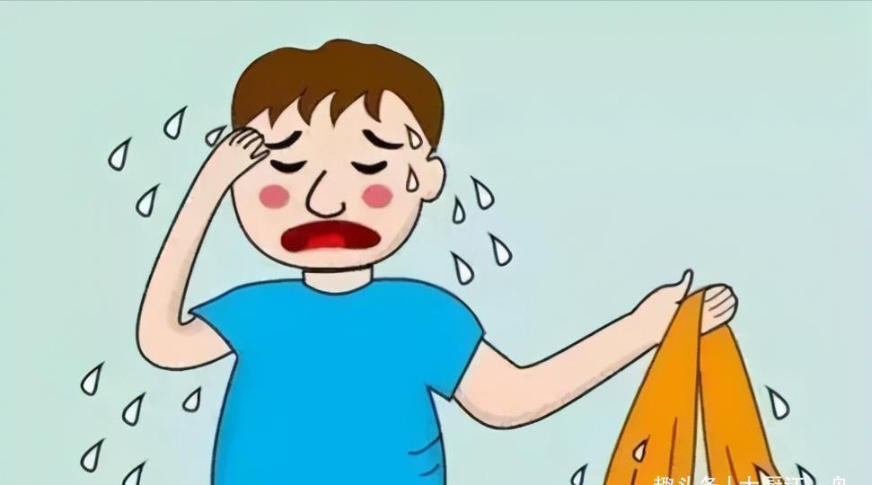 炒菜|三伏天养生,建议每天吃点清淡的,教你3种家庭炒菜,平稳度夏天