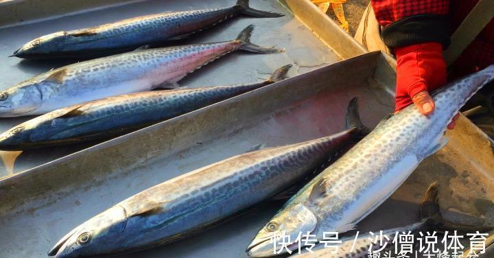 开海后，有种鱼最便宜，比带鱼肉多，比鲈鱼鲜，清炖最鲜美