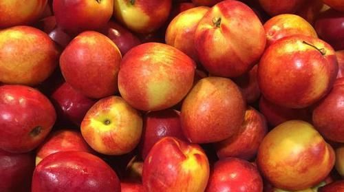 女性想显年轻,推荐几种食物,延缓衰老,美容养颜,早吃早好