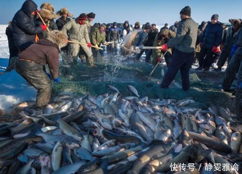 一条鱼可以卖出近“三百万”天价,查干湖的鱼到底有什么特色?