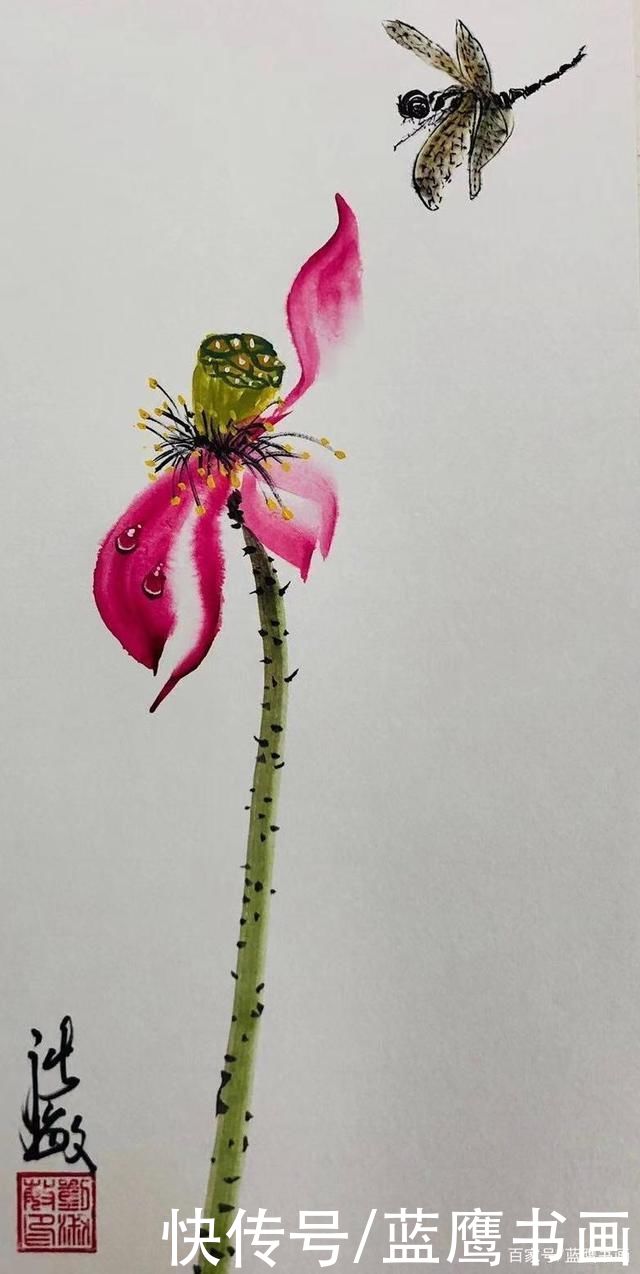 荷香|柳柳作品:荷香满塘