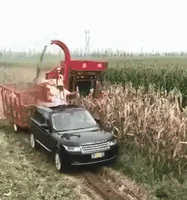 |搞笑GIF美女,你这样撩我容易出事你知道吗