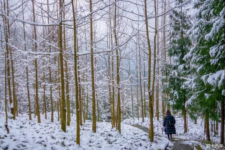 没有门票！无需登山！1天打来回的冷门耍雪地