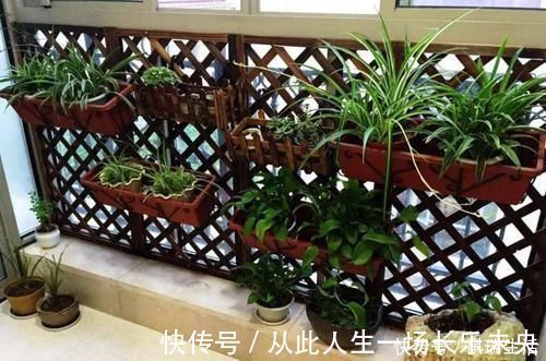 拖把池|你家如果只有一个阳台,那阳台就参照这样装吧,不浪费半点空间