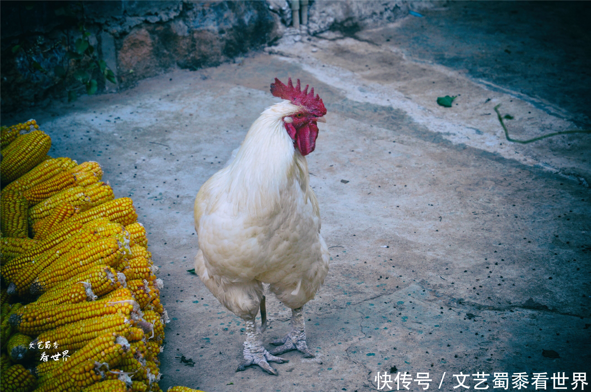 藏在泸沽湖大山中的女儿国，到底有多神秘？谁都可以走婚是真的吗