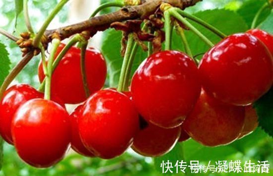 果实|女人皮肤不好不要慌，常吃此果，去皱消斑，皮肤红润嫩白