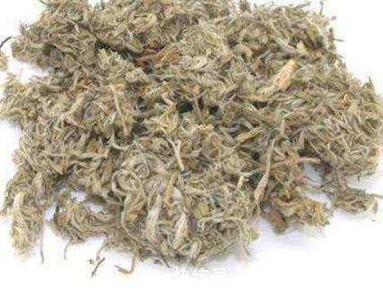 白蒿|日本人眼中的“长寿菜”,我国产量多吃得人却很少,大家吃过吗