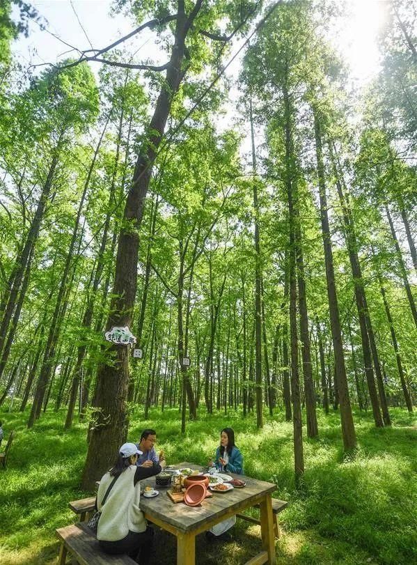 富春山居|这“画里生活”，多美！