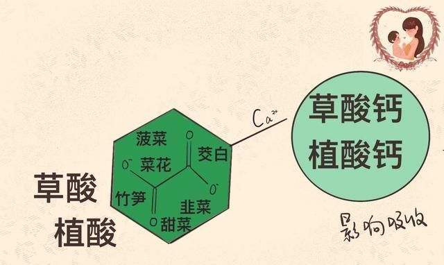 植酸|不避开四类“天然补钙杀手”，给娃补再多钙也无用，别傻傻不知道