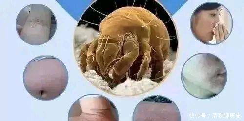 有人说“3月不洗被,600万螨虫陪你睡”!床单睡衣多久洗一次?