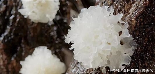 吃不起“高档品”,可常吃这“4物”,脸上皱纹自然变淡