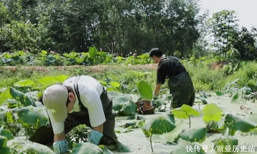 《向往的生活5》首播出漏洞，如果没有黄磊这句话，估计要被骂了