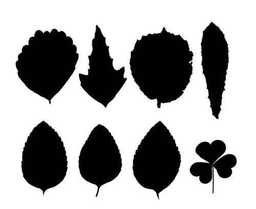 如果外星存在植被，那应该是什么颜色的？