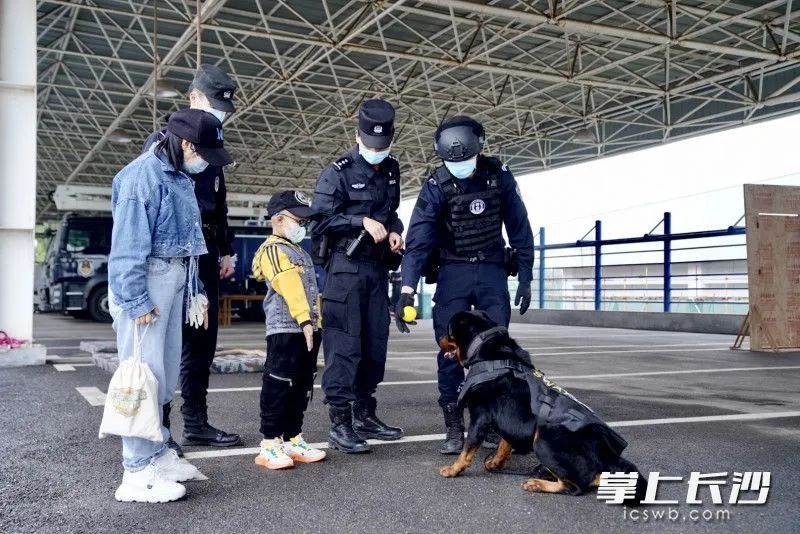 小硬汉，你敬礼的姿势太帅了！